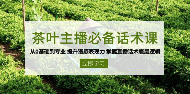 茶叶主播必备话术课 从0基础到专业 提升语感表现力 掌握直播话术底层逻辑-云库资源