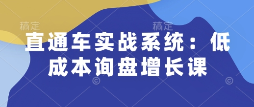 直通车实战系统：低成本询盘增长课，让个人通过技能实现升职加薪，让企业低成本获客，订单源源不断-云库资源