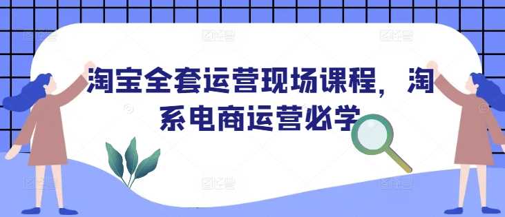 淘宝全套运营现场课程，淘系电商运营必学-云库资源