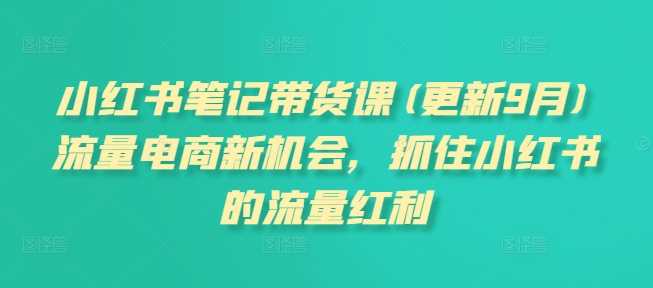 小红书笔记带货课(更新25年1月)流量电商新机会，抓住小红书的流量红利-云库资源