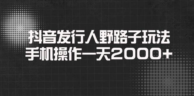 （14068期）抖音发行人野路子玩法，手机操作一天2000+-云库资源