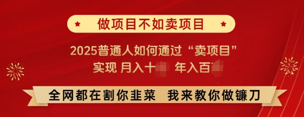 必看，做项目不如卖项目，2025普通人如何通过“卖项目”实现月入十个，年入百个-云库资源