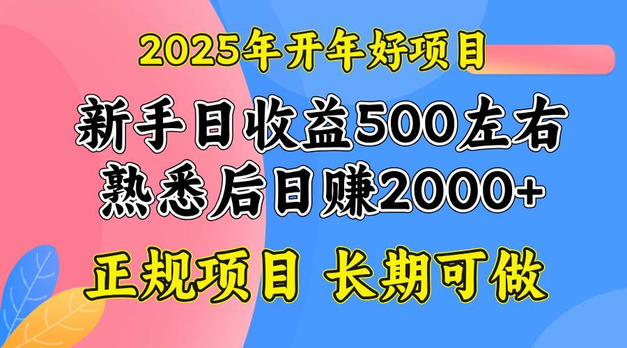 （14076期）2025开年好项目，单号日收益2000左右-云库资源