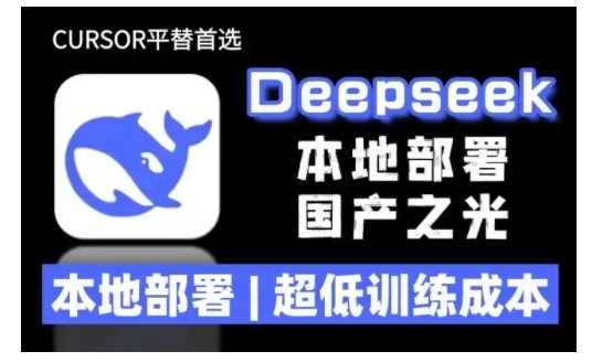2025年deepseek R1 大型模型本地安装部署(文件+教程)本地部署，超低训练成本-云库资源