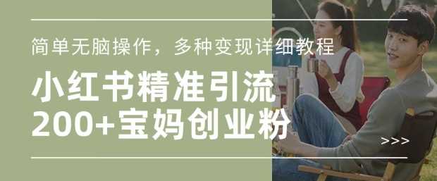 小红书混剪日引200+宝妈创业粉，简单无脑操作，多种变现详细教程-云库资源