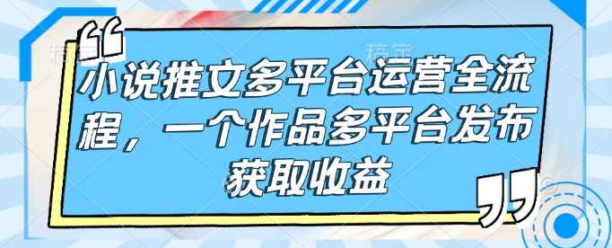 小说推文多平台运营全流程，一个作品多平台发布获取收益-云库资源