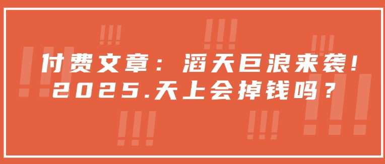付费文章：滔天巨浪来袭！2025天上会掉钱吗？-云库资源