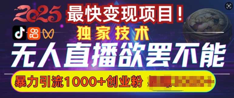 欲罢不能的无人直播引流，超暴力日引流1000+高质量精准创业粉-云库资源