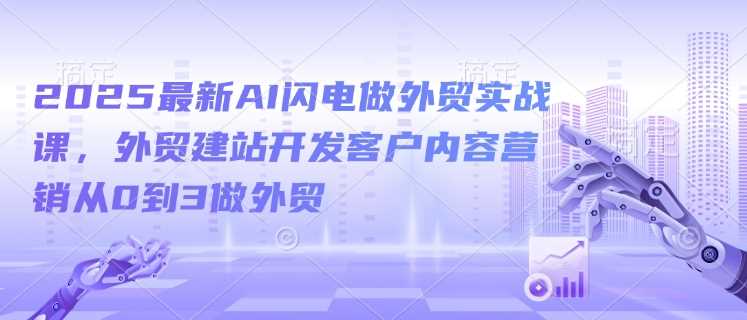 2025最新AI闪电做外贸实战课，外贸建站开发客户内容营销从0到3做外贸-云库资源