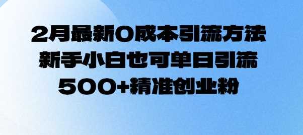 2月最新0成本引流方法，新手小白也可单日引流500+精准创业粉-云库资源