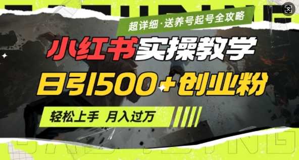 2月小红书最新日引500+创业粉实操教学【超详细】小白轻松上手，月入1W+，附小红书养号起号SOP-云库资源