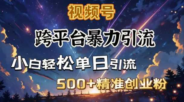 跨平台暴力引流，私域完美闭环，日引500+精准创业粉-云库资源