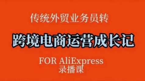 跨境电商速卖通运营课，​运营方法论+后台实操，逻辑清晰-云库资源