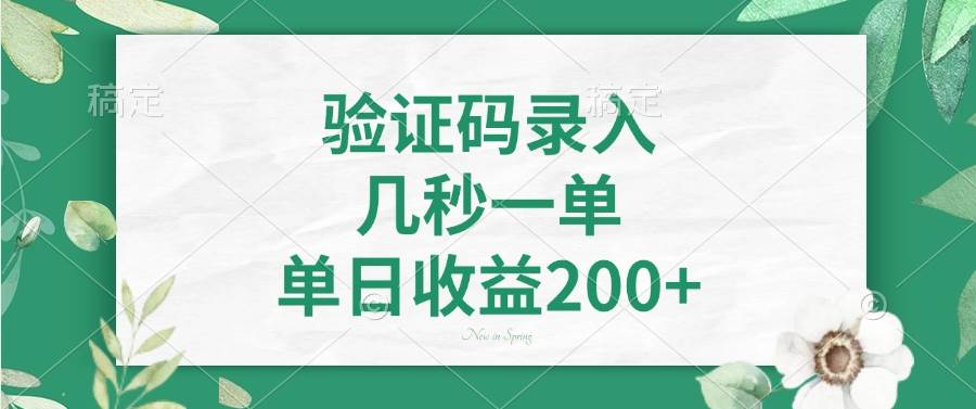 （14221期）验证码录入，几秒一单，单日收益200+-云库资源