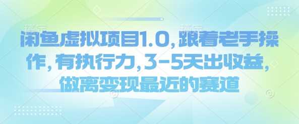 闲鱼虚拟项目1.0，跟着老手操作，有执行力，3-5天出收益，做离变现最近的赛道-云库资源