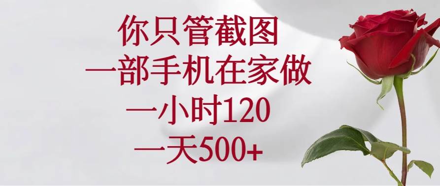 （14248期）你只管截图，一部手机在家做，一小时120，一天500+-云库资源