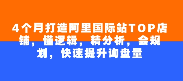 4个月打造阿里国际站TOP店铺，懂逻辑，精分析，会规划，快速提升询盘量-云库资源