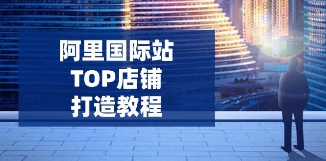（14269期）阿里国际站TOP店铺打造教程：涵盖平台到高阶，解决运营难题，提升询盘-云库资源