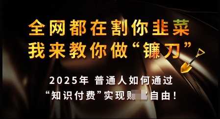知识付费如何做到月入过W+，2025我来教你做“镰刀”【揭秘】-云库资源