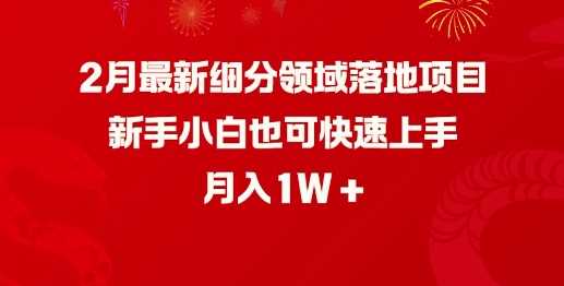 2月最新细分领域落地项目，新手小白也可快速上手，月入1W-云库资源
