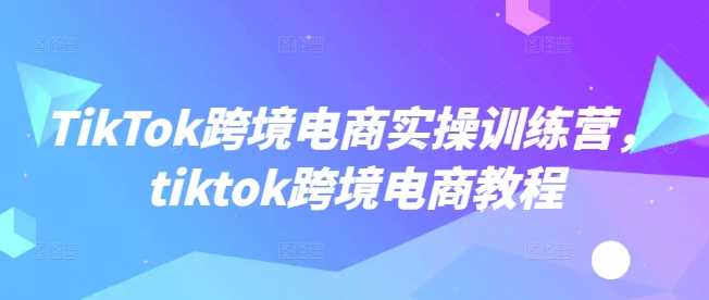 TikTok跨境电商实操训练营，tiktok跨境电商教程-云库资源