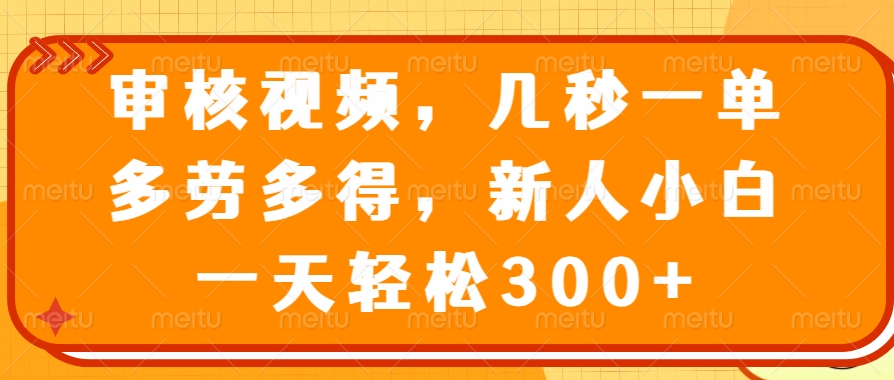 （14294期）审核视频，几秒一单，多劳多得，新人小白一天轻松300+-云库资源