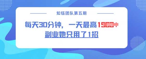 副业她只用了1招，每天30分钟，无脑二创，一天最高1.5k-云库资源