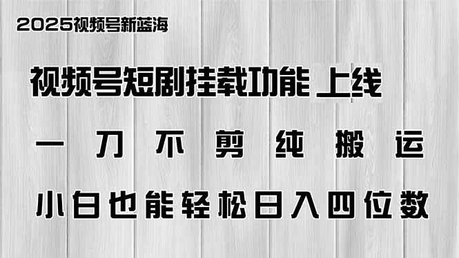 （14310期）视频号短剧挂载功能上线，一刀不剪纯搬运，小白也能轻松日入四位数-云库资源