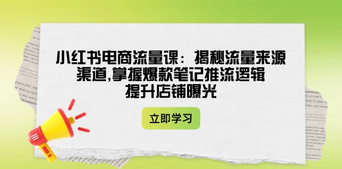 （14318期）小红书电商流量课：揭秘流量来源渠道,掌握爆款笔记推流逻辑,提升店铺曝光-云库资源