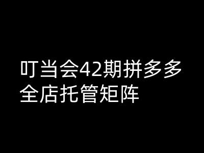 叮当会拼多多打爆班原创高阶技术第42期，拼多多全店托管矩阵-云库资源