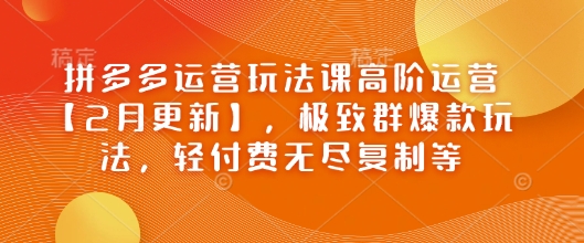 拼多多运营玩法课高阶运营【2月更新】，极致群爆款玩法，轻付费无尽复制等-云库资源