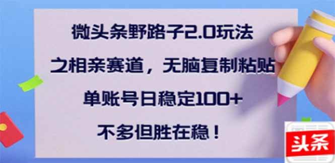 （14334期）微头条野路子2.0玩法之相亲赛道，无脑搬砖复制粘贴，单账号日稳定300+…-云库资源