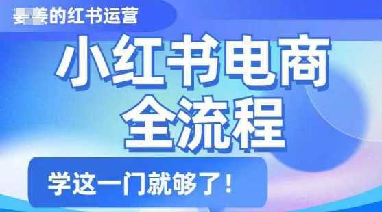 小红书电商全流程，精简易懂，从入门到精通，学这一门就够了-云库资源