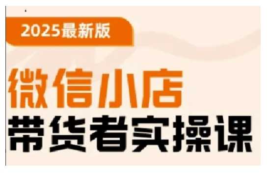 2025最新版微信小店带货者实操课，基础操作到高级运营技巧，快速上手-云库资源