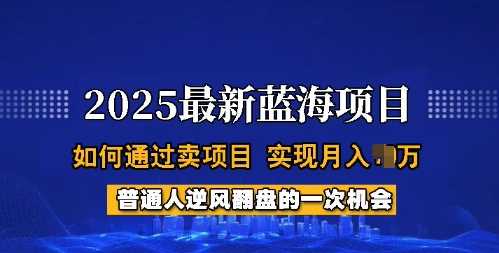 2025蓝海项目，普通人如何通过卖项目，实现月入过W，全过程【揭秘】-云库资源