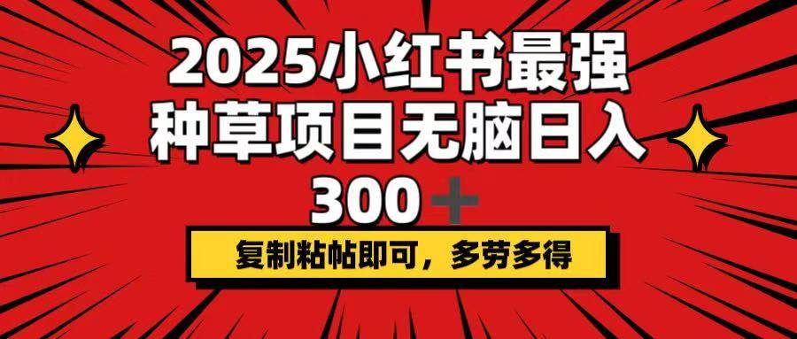 （14375期）2025小红书最强种草项目，无脑日入300+，复制粘帖即可，多劳多得-云库资源