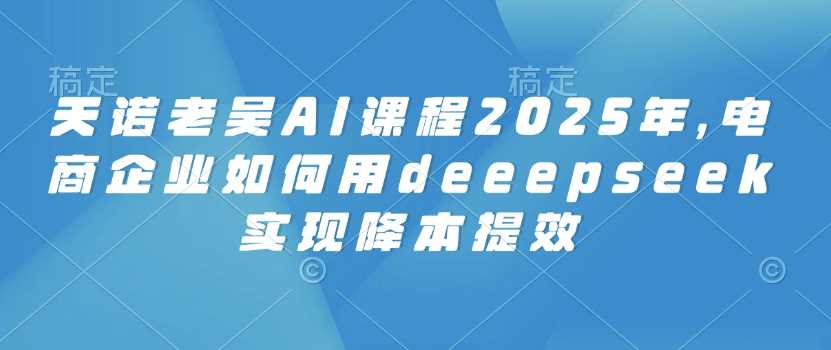 天诺老吴AI课程2025年，电商企业如何用deeepseek实现降本提效-云库资源