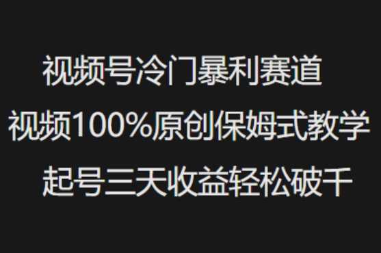 视频号冷门暴利赛道视频100%原创保姆式教学起号三天收益轻松破千-云库资源