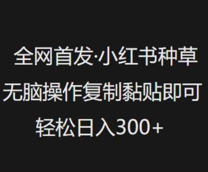 全网首发，小红书种草无脑操作，复制黏贴即可，轻松日入3张-云库资源