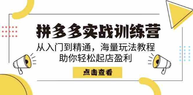 拼多多实战训练营，从入门到精通，海量玩法教程，助你轻松起店盈利-云库资源