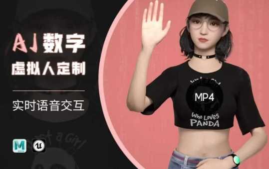 Ai数字人虚拟(智能体)实时语音交互特训营，​自行定制超写实角色AI数字人交互技术-云库资源