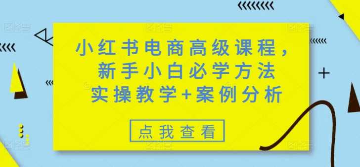 小红书电商高级课程，新手小白必学方法，实操教学+案例分析-云库资源