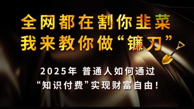 全网都在割你韭菜，我来教你做镰刀,2025普通人如何通过知识付费，实现财F自由【揭秘】-云库资源