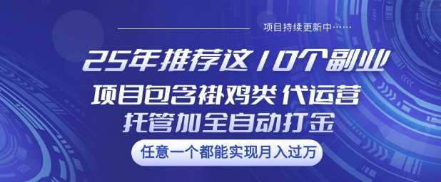 25年推荐这10个副业项目包含褂鸡类、代运营托管类、全自动打金类【揭秘】-云库资源