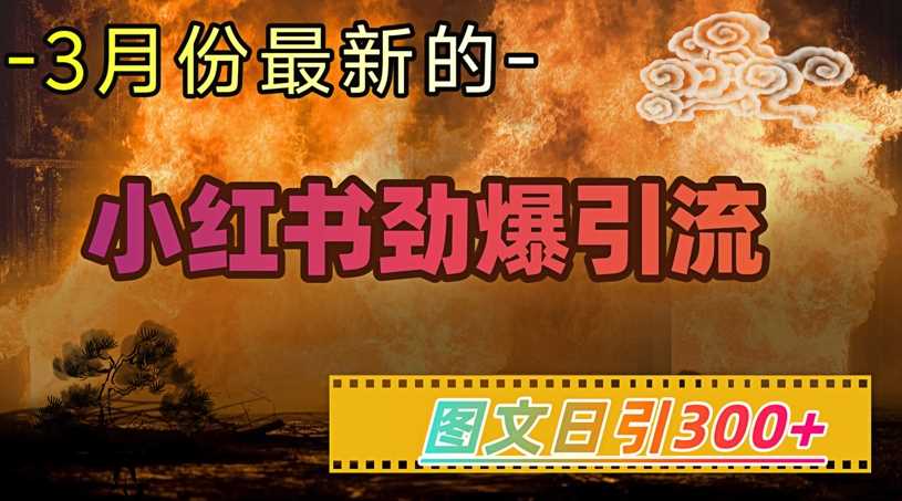 小红书超劲爆引流手段，图文日引300+轻松变现1W-云库资源