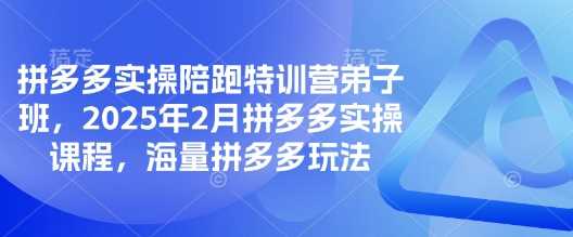 拼多多实操陪跑特训营弟子班，2025年2月拼多多实操课程，海量拼多多玩法-云库资源