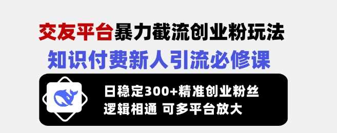 交友平台暴力截流创业粉玩法，知识付费新人引流必修课，日稳定300+精准创业粉丝，逻辑相通可多平台放大-云库资源
