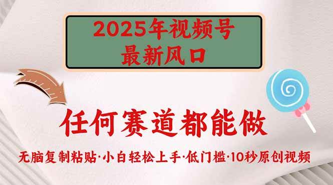 （14453期）2025年视频号新风口，低门槛只需要无脑执行-云库资源