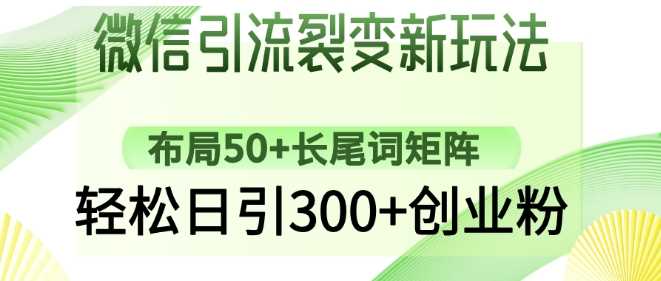 微信引流裂变新玩法：布局50+长尾词矩阵，轻松日引300+创业粉-云库资源