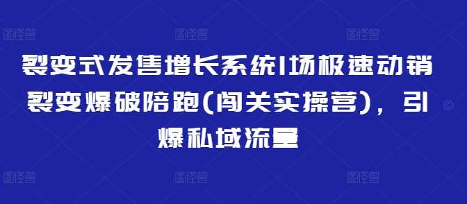 裂变式发售增长系统1场极速动销裂变爆破陪跑(闯关实操营)，引爆私域流量-云库资源